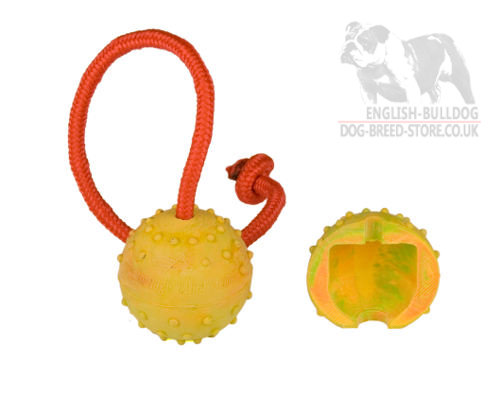 Durable Dog Toy, Hollow Rubber Ball for English Bulldog