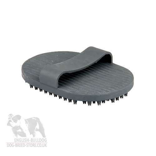 brush for english bulldog