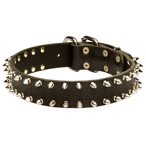 Leather Dog Collar with Two Rows of Spikes for English Bulldog