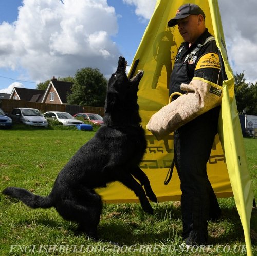 IGP Bite Sleeve with Jute Cover for Advanced Training