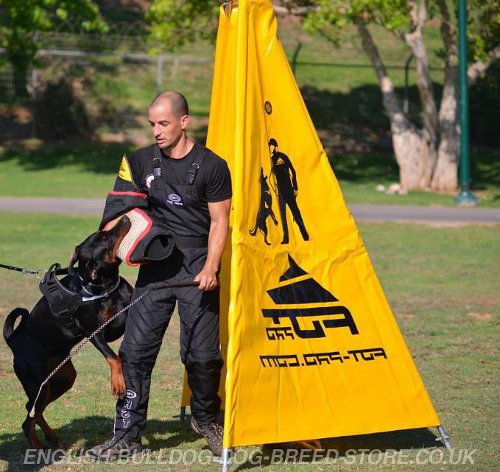 Professional IGP Training Blind for Dog Sports and Trials - Click Image to Close