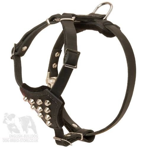 Small Leather Dog Harness with Pyramids on the Chest for Pug