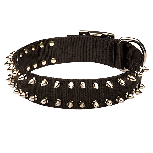 Shining Spiked Strong Nylon Dog Collar for English Bulldogs