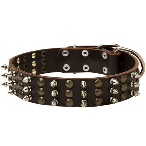 Leather Bulldog Collar with Three Rows of Spikes and Round Studs