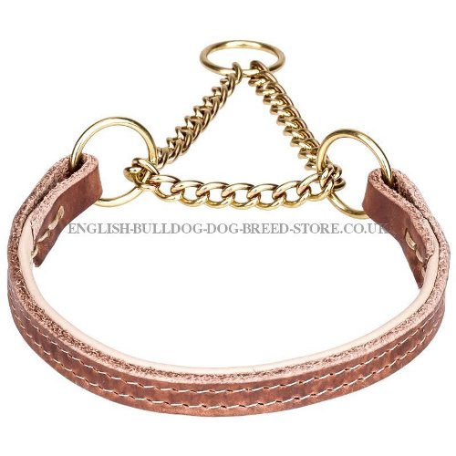 Training Collar for English Bulldog "Golden Charm" Martingale