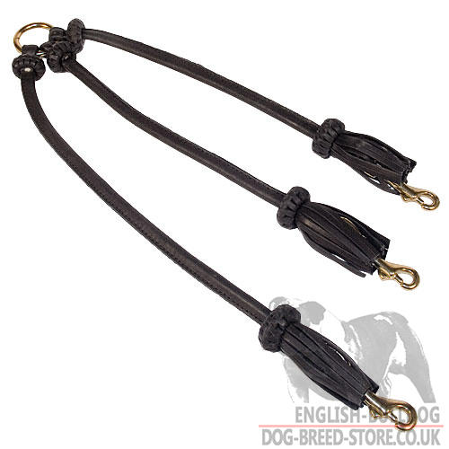 Triple Dog Leash with Tassels for Walking 3 English Bulldogs - Click Image to Close