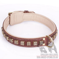 Leather Collar for English Bulldog "Cube" of Brown Color