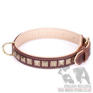 Leather Collar for English Bulldog "Pyramid" of Brown Leather
