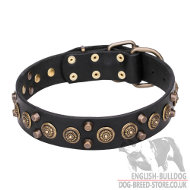 Leather Collar for English Bulldog with Brooches and Cones