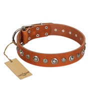 Leather Collar for English Bulldog "Gorgeous Roundie" by Artisan Leather Collar for English Bulldog "Gorgeous Roundie" by Artisan