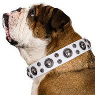 Leather Collar for English Bulldog "White Jewel" FDT Artisan Leather Collar for English Bulldog "White Jewel" FDT Artisan