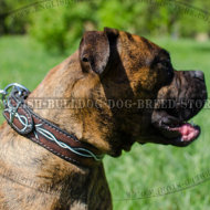 Leather Dog Collar for Boxer with Hand Painted Barbed Wire