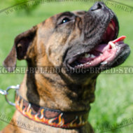 Leather Dog Collar for Boxer with Hand Painted Flame Shapes