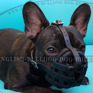 Bestseller! Leather Dog Muzzle Soft Felt Padded for French Bulldog