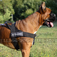 No Pull Dog Harness for Boxer of Nylon with Patches and Handle
