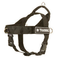No Pull Harness for Boston Terrier of Nylon with ID Side Patches