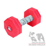 Obedience Dumbbell for Dogs Retrieve and Schutzhund Training Obedience Dumbbell for Dogs Retrieve and Schutzhund Training