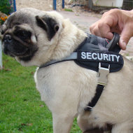 Pug Dog Harness, Nylon with Reflective Strap and Patches