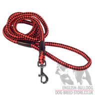 Rope Dog Lead, Paracord Leash for English Bulldog Easy Walking