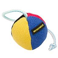 Dog Training Ball UK