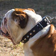 English Bulldog Walking Dog Collar with Row of Fancy Pyramids