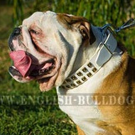 "Clear Sky" White Leather Dog Collar with Old-like Pyramids "Clear Sky" White Leather Dog Collar with Old-like Pyramids